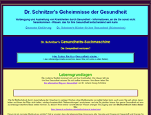 Tablet Screenshot of doc-schnitzer.de